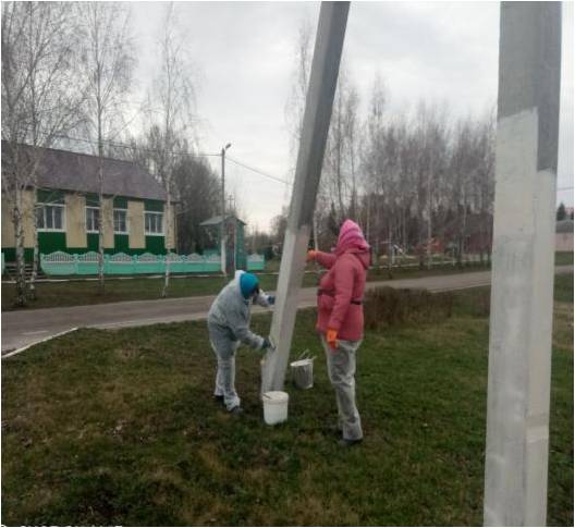 Наведение санитарного порядка на территории сельского поселения.
